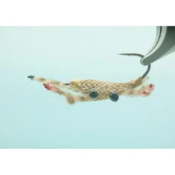 Shop All^ Alphlexo Crab Tan #2 - Your Premium Fishing Gear Store Rods Lines Baits Accessories