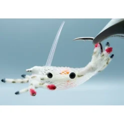 Shop All^ Alphlexo Crab White #2 - Your Premium Fishing Gear Store Rods Lines Baits Accessories