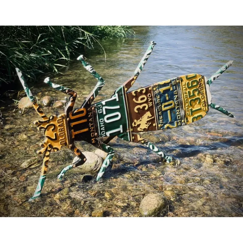 Fly Fishing^ Antique Mixed Western Stonefly License Plate Art - Your Premium Fishing Gear Store Rods Lines Baits Accessories