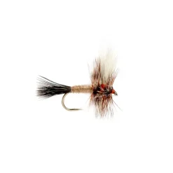 Shop All^ Ausable Wulff - Your Premium Fishing Gear Store Rods Lines Baits Accessories