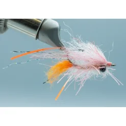 Shop All^ Bahamas Shrimp - Your Premium Fishing Gear Store Rods Lines Baits Accessories