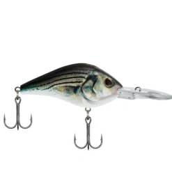 Bait^ Berkley Dredger, Weighted Bill, Deep Diver Crankbait (Assorted Sizes and Colors) - Your Premium Fishing Gear Store Rods Lines Baits Accessories