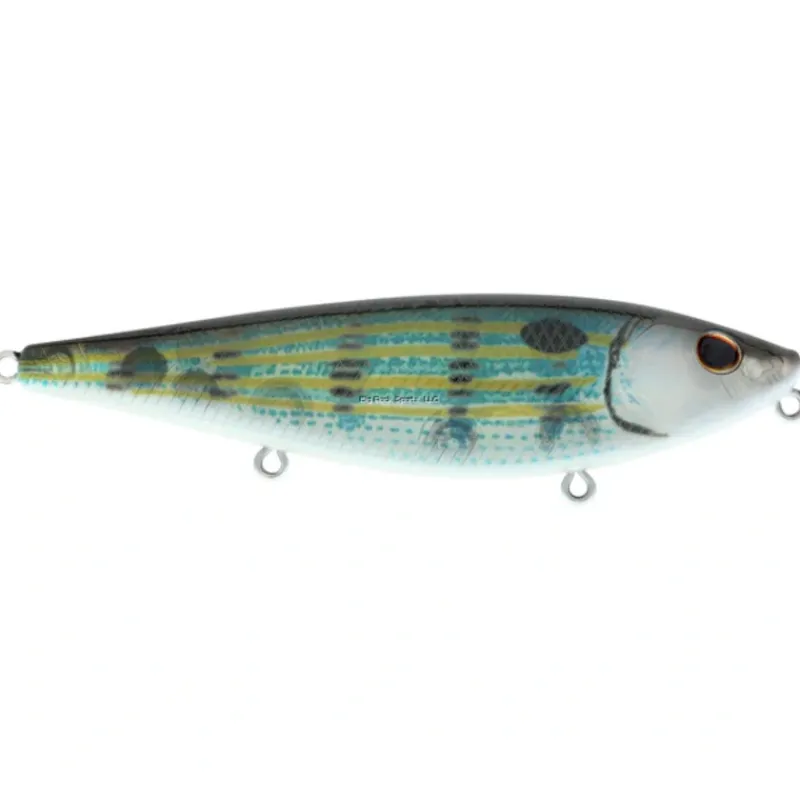 Bait^ Berkley HighJacker Saltwater Top Water, 2/3oz, 3 7/8", Pinfish - Your Premium Fishing Gear Store Rods Lines Baits Accessories