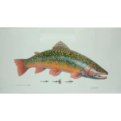Fly Fishing^ Bern Sundell 56/300 Trout & 3 Flies Print - Your Premium Fishing Gear Store Rods Lines Baits Accessories