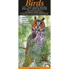 Shop All^ Birds-Rocky Mountain Quick Reference Guide - Your Premium Fishing Gear Store Rods Lines Baits Accessories