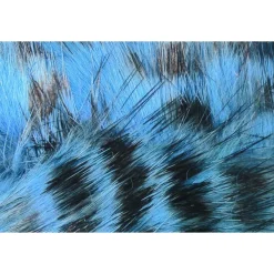 Shop All^ Black Barred Rabbit Strips - Your Premium Fishing Gear Store Rods Lines Baits Accessories