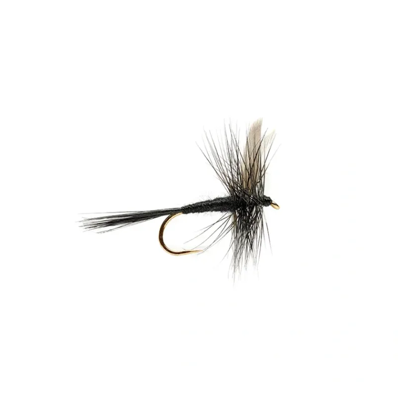 Fly Fishing^ Black Gnat - Your Premium Fishing Gear Store Rods Lines Baits Accessories