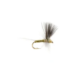Shop All^ Blue Winged Olive Thorax - Your Premium Fishing Gear Store Rods Lines Baits Accessories
