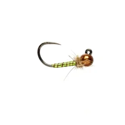 Fly Fishing^ Boroffs Bling Caddis Olive Barbless - Your Premium Fishing Gear Store Rods Lines Baits Accessories