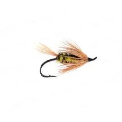 Shop All^ Brindle Bug - Your Premium Fishing Gear Store Rods Lines Baits Accessories