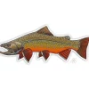 Shop All^ Brook Trout Sticker - Your Premium Fishing Gear Store Rods Lines Baits Accessories