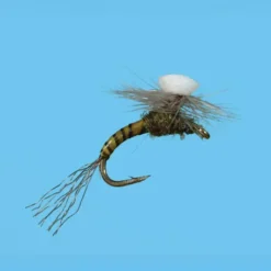 Shop All^ Brooks Sprout Baetis - Your Premium Fishing Gear Store Rods Lines Baits Accessories