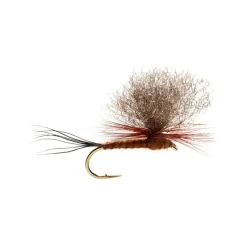 Shop All^ Burkus' Brown Drake Dun - Your Premium Fishing Gear Store Rods Lines Baits Accessories