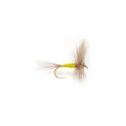 Fly Fishing^ BWO - Your Premium Fishing Gear Store Rods Lines Baits Accessories