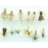 Shop All^ Caddis Dry Assortment- Olive - Your Premium Fishing Gear Store Rods Lines Baits Accessories