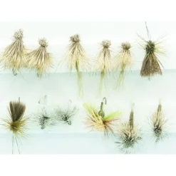 Shop All^ Caddis Dry Assortment- Olive - Your Premium Fishing Gear Store Rods Lines Baits Accessories