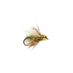 Shop All^ Caddis Pupa Green Beadhead - Your Premium Fishing Gear Store Rods Lines Baits Accessories