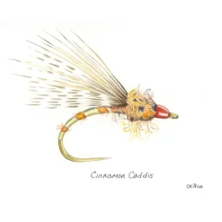 Fishing Line^ Caroline Price Art Cinnamon Caddis 10 Pack w/Envelopes - Your Premium Fishing Gear Store Rods Lines Baits Accessories