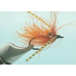 Shop All^ Carpdashian - Rust - #6 - Your Premium Fishing Gear Store Rods Lines Baits Accessories