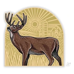 Shop All^ Casey Underwood Whitetail Arch - Your Premium Fishing Gear Store Rods Lines Baits Accessories