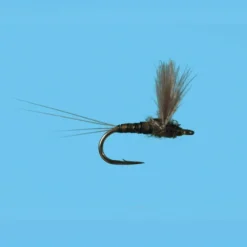 Shop All^ CDC Biot Comparadun BWO - Your Premium Fishing Gear Store Rods Lines Baits Accessories