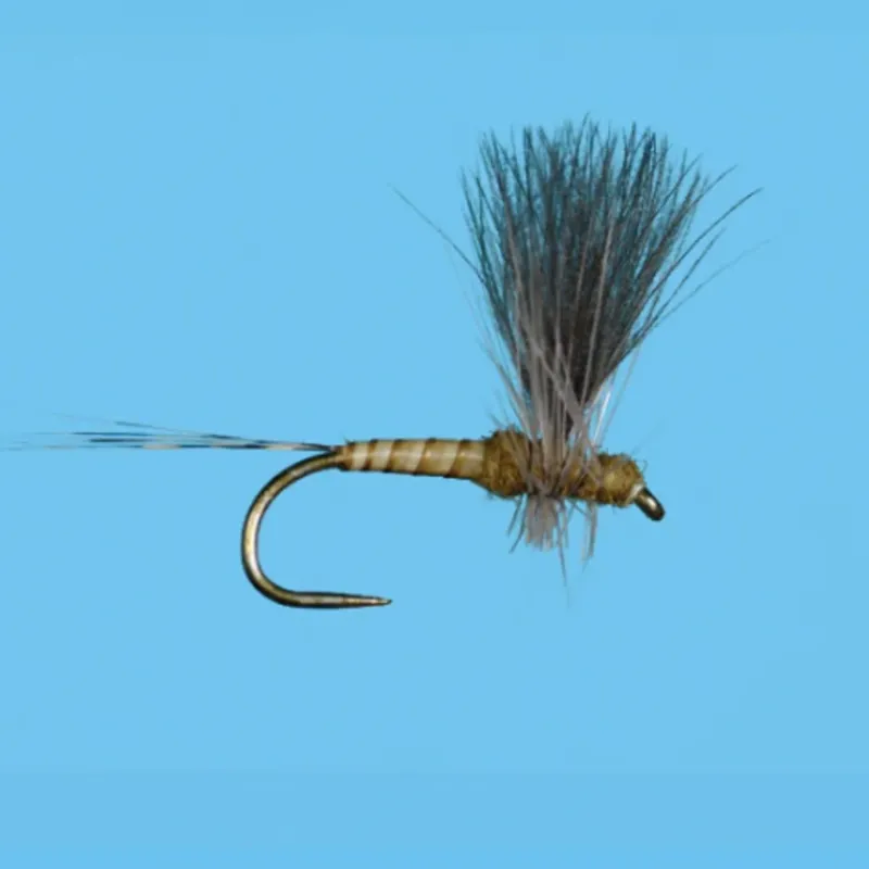 Fly Fishing^ CDC Thorax BWO - Your Premium Fishing Gear Store Rods Lines Baits Accessories