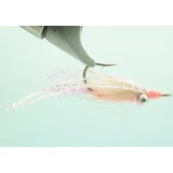 Fly Fishing^ Chicone Bone Appetite - Your Premium Fishing Gear Store Rods Lines Baits Accessories