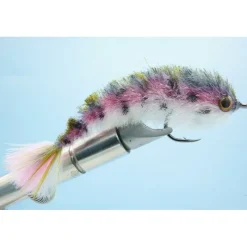 Bait^ Chocklett's Finesse Changer Rainbow Trout - Your Premium Fishing Gear Store Rods Lines Baits Accessories