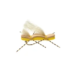 Shop All^ Chubby Duo Golden - Your Premium Fishing Gear Store Rods Lines Baits Accessories