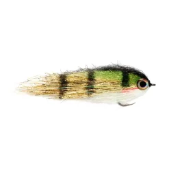 Shop All^ Clydesdale Gold Perch - Your Premium Fishing Gear Store Rods Lines Baits Accessories