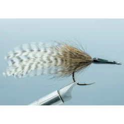 Shop All^ Cockroach - Your Premium Fishing Gear Store Rods Lines Baits Accessories