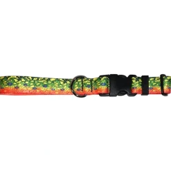 Shop All^ Cognito Dog Collar Brook Trout #2 - Your Premium Fishing Gear Store Rods Lines Baits Accessories