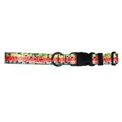 Shop All^ Cognito Dog Collar Rainbow #3 - Your Premium Fishing Gear Store Rods Lines Baits Accessories