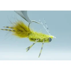 Shop All^ Colby's Casa Blanca Raghead Olive - Your Premium Fishing Gear Store Rods Lines Baits Accessories