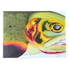 Shop All^ Conner Art Studio Cuttie Sticker - Your Premium Fishing Gear Store Rods Lines Baits Accessories