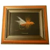 Shop All^ Conner Art Studio Framed Cinnamon Ant - Your Premium Fishing Gear Store Rods Lines Baits Accessories