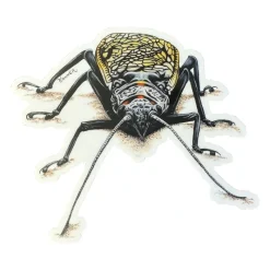 Shop All^ Conner Art Studio Stoney Sticker - Your Premium Fishing Gear Store Rods Lines Baits Accessories