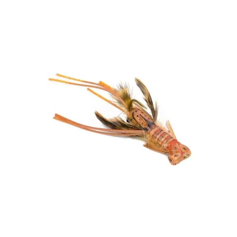 Fly Fishing^ Creek Crawler - Your Premium Fishing Gear Store Rods Lines Baits Accessories
