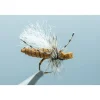 Shop All^ Daniel's Tan Hegan Ant #8 - Your Premium Fishing Gear Store Rods Lines Baits Accessories