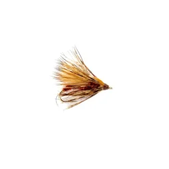 Shop All^ Davy's Skating Caddis Brown - Your Premium Fishing Gear Store Rods Lines Baits Accessories