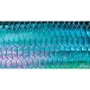 Shop All^ DeYoung Tarpon Flank Emerald Canvas Print - Your Premium Fishing Gear Store Rods Lines Baits Accessories