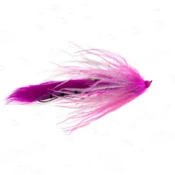 Fly Fishing^ Dirty Hoh Steelhead - Your Premium Fishing Gear Store Rods Lines Baits Accessories