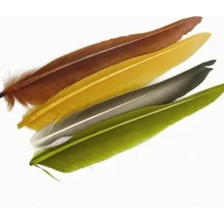 Shop All^ DUCK QUILL - Your Premium Fishing Gear Store Rods Lines Baits Accessories