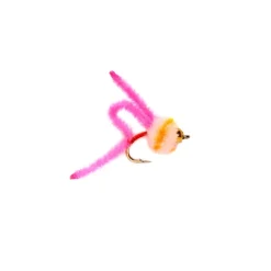 Shop All^ Eggi Juan Kanobi Pink Tungsten Beadhead - Your Premium Fishing Gear Store Rods Lines Baits Accessories