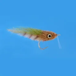 Bait^ Enrico Puglisi Everglades SP - Your Premium Fishing Gear Store Rods Lines Baits Accessories