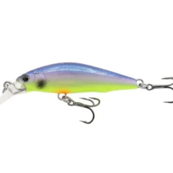 Bait^ Eurotackle Z-Spender 2" (Suspending Jerkbait) 1/8oz, Shad - Your Premium Fishing Gear Store Rods Lines Baits Accessories