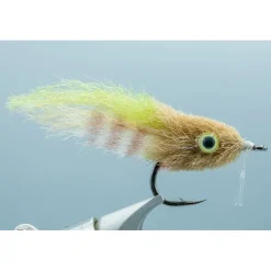 Shop All^ Everglades Special - #1/0 - Your Premium Fishing Gear Store Rods Lines Baits Accessories