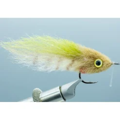 Shop All^ Everglades Special #2/0 - Your Premium Fishing Gear Store Rods Lines Baits Accessories