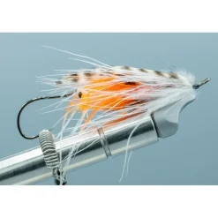 Shop All^ Farmer's Unweighted Prawn with No Name - Your Premium Fishing Gear Store Rods Lines Baits Accessories