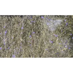 Fly Fishing^ Fly Fish Food's Bruiser Blend Dubbing - Your Premium Fishing Gear Store Rods Lines Baits Accessories